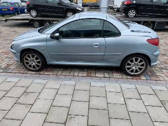 Peugeot 206 1.6 16V CABRIO picture 9