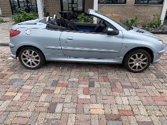 Peugeot 206 1.6 16V CABRIO picture 7