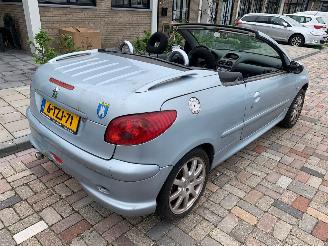 Peugeot 206 1.6 16V CABRIO picture 6