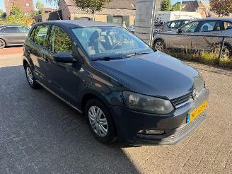 Volkswagen Polo  picture 2