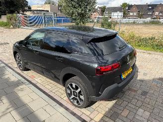 Citroën C4 cactus 1.2 PURE TECH SHINE picture 6