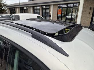 Volkswagen Tiguan 2.0 TSI 4 MOTION picture 9