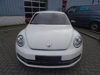 Volkswagen Beetle  picture 2