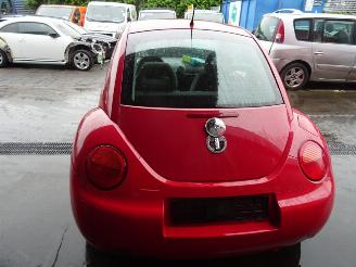 Volkswagen Beetle  picture 9