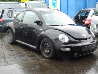 Volkswagen Beetle  picture 7