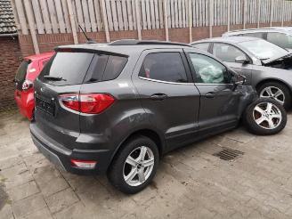 Ford EcoSport  picture 5