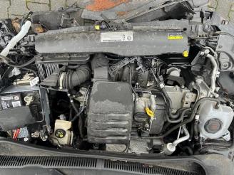 Volkswagen Polo Polo VI (AW1), Hatchback 5-drs, 2017 1.0 MPi 12V picture 7