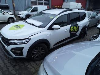 Dacia Jogger Jogger, MPV, 2022 1.0 TCe 100 Bi-Fuel , ECO-G 12V picture 3