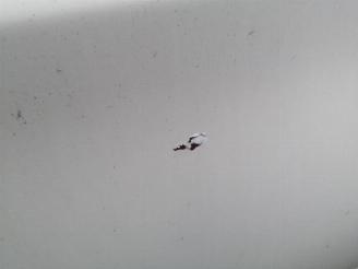 BMW 3-serie 3 serie (E90), Sedan, 2005 / 2011 316d 16V picture 28