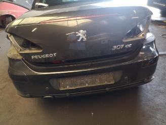 Peugeot 307 307 CC (3B), Cabrio, 2003 / 2009 2.0 16V picture 20