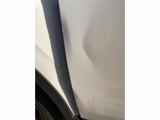 Renault Kadjar Kadjar (RFEH), SUV, 2015 1.2 Energy TCE 130 picture 32