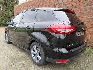 Ford C-Max 1.0I ECOBOOST 92KW/125PK picture 9