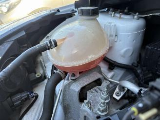 Ford Fiesta  picture 10