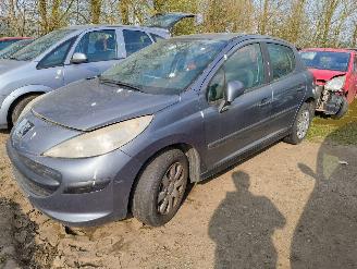 Salvage car Peugeot 207 1.4 VTi Look 2009/3