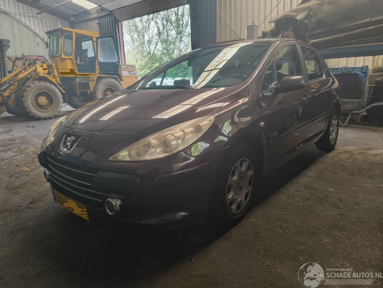 Peugeot 307 1.6-16V Oxygo