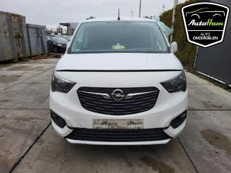 Opel Combo Combo Cargo, Van, 2018 1.6 CDTI 100 picture 3