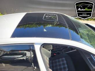 Volkswagen Polo Polo VI (AW1), Hatchback 5-drs, 2017 2.0 GTI Turbo 16V picture 21