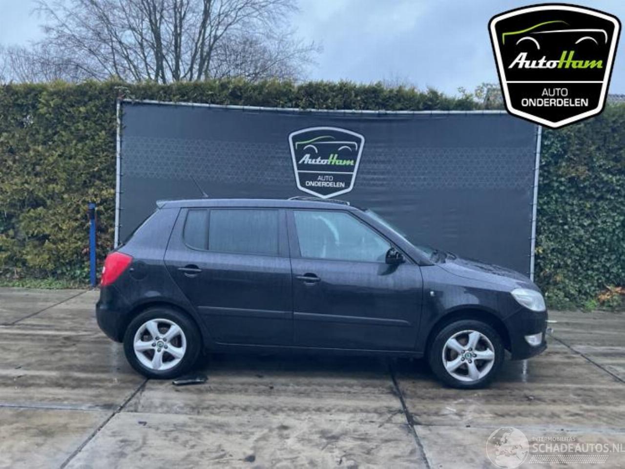 Skoda Fabia Fabia II (5J), Hatchback 5-drs, 2006 / 2014 1.2 TSI