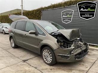 Ford S-Max S-Max (GBW), MPV, 2006 / 2014 2.0 16V picture 2