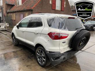 Ford EcoSport  picture 6