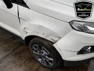 Ford EcoSport  picture 17