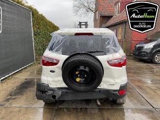 Ford EcoSport EcoSport (JK8), SUV, 2013 1.0 EcoBoost 12V 125 picture 7