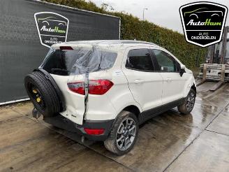 Ford EcoSport  picture 8