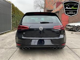 Volkswagen Golf Golf VII (AUA), Hatchback, 2012 / 2021 2.0 R 4Motion 16V picture 12