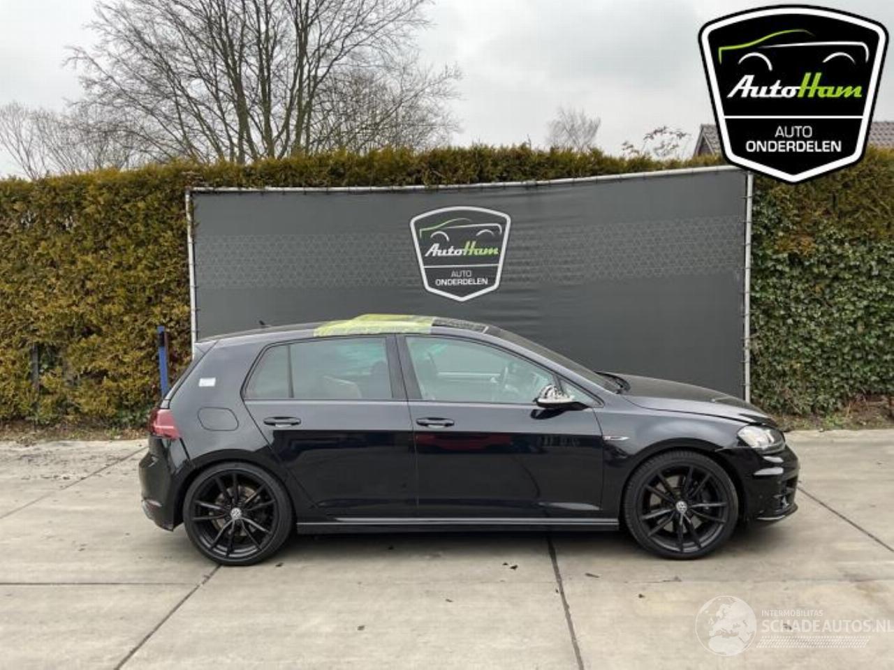Volkswagen Golf Golf VII (AUA), Hatchback, 2012 / 2021 2.0 R 4Motion 16V