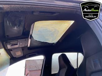 Volkswagen Golf Golf VIII (CD1), Hatchback, 2019 2.0 TSI R 16V 4Motion picture 14