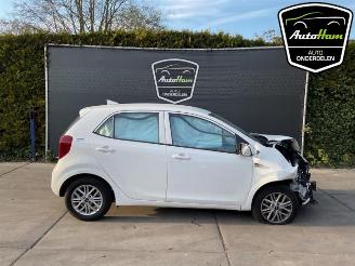 Démontage voiture Kia Picanto Picanto (JA), Hatchback, 2017 1.0 DPI 12V 2023/6