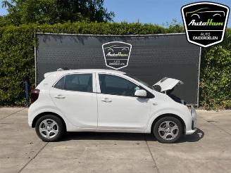 Sloopauto Kia Picanto Picanto (JA), Hatchback, 2017 1.0 DPI 12V 2024/10