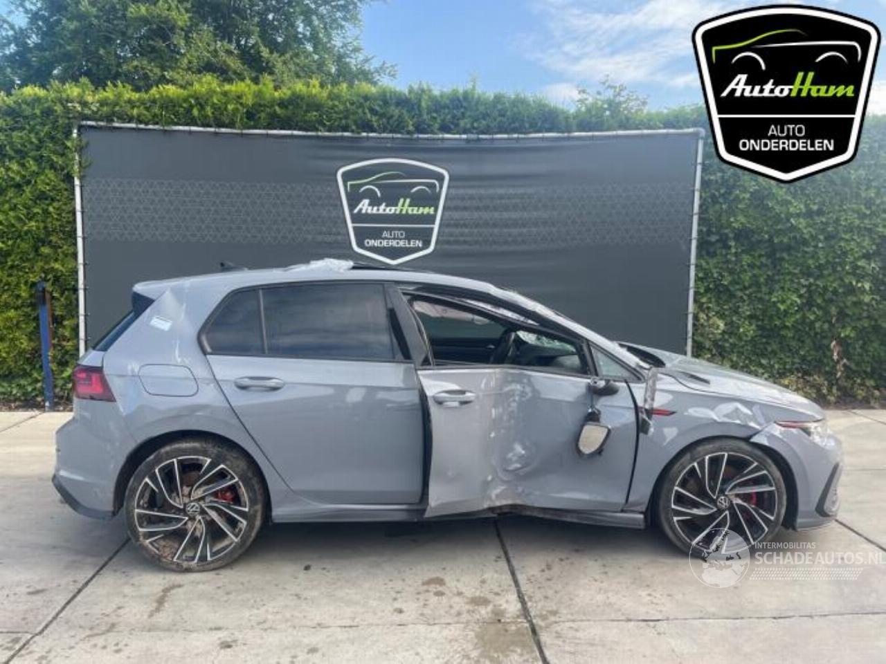 Volkswagen Golf Golf VIII (CD1), Hatchback, 2019 2.0 GTI 16V