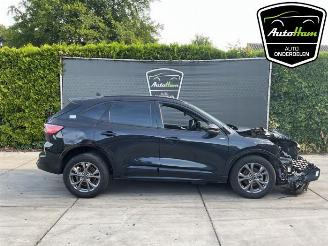 disassembly passenger cars Ford Kuga Kuga III (DFK), SUV, 2019 2.5 PHEV 16V 2023/6