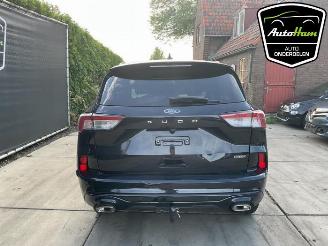 Ford Kuga Kuga III (DFK), SUV, 2019 2.5 PHEV 16V picture 9