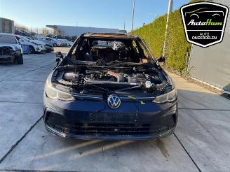 Volkswagen Golf Golf VIII (CD1), Hatchback, 2019 1.5 eTSI 16V picture 3