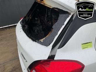 Suzuki Swift Swift (ZC/ZD), Hatchback 5-drs, 2017 1.2 Dual Jet 16V picture 20