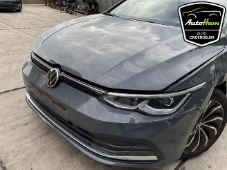 Volkswagen Golf Golf VIII (CD1), Hatchback, 2019 1.5 TSI BlueMotion 16V picture 5