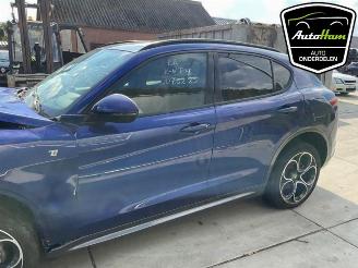Alfa Romeo Stelvio Stelvio (949), SUV, 2017 2.0 T 16V Q4 picture 5
