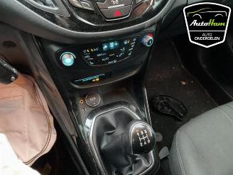 Ford B-Max B-Max (JK8), MPV, 2012 / 2017 1.0 EcoBoost 12V 100 picture 20