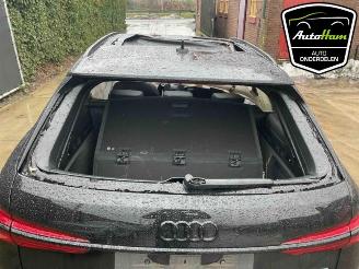 Audi A6 A6 Avant (C8), Combi, 2018 3.0 V6 24V 50 TDI Mild Hybrid Quattro picture 20