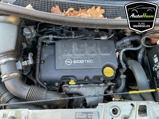 Opel Meriva Meriva (B), MPV, 2010 / 2017 1.4 Turbo 16V ecoFLEX picture 13