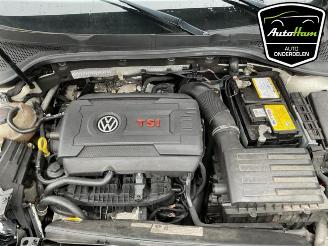 Volkswagen Golf Golf VII (AUA), Hatchback, 2012 / 2021 2.0 GTI 16V Performance Package picture 18