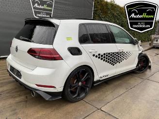 Volkswagen Golf Golf VII (AUA), Hatchback, 2012 / 2021 2.0 GTI 16V Performance Package picture 10