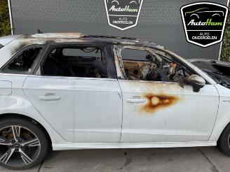 Audi A3 A3 Sportback (8VA/8VF), Hatchback 5-drs, 2012 / 2020 1.4 TFSI 16V e-tron picture 10