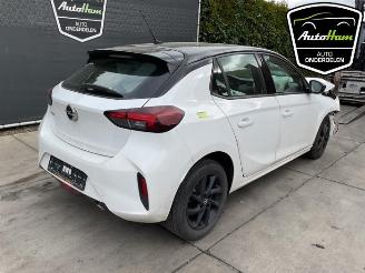 Opel Corsa Corsa F (UB/UH/UP), Hatchback 5-drs, 2019 1.2 Turbo 12V 100 picture 10