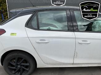Opel Corsa Corsa F (UB/UH/UP), Hatchback 5-drs, 2019 1.2 Turbo 12V 100 picture 11