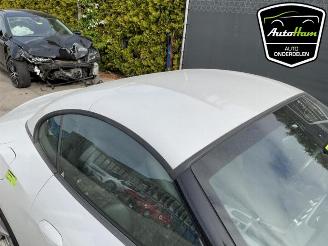 BMW Z4 Z4 Roadster (E89), Cabrio, 2009 / 2016 sDrive 18i 2.0 16V picture 22