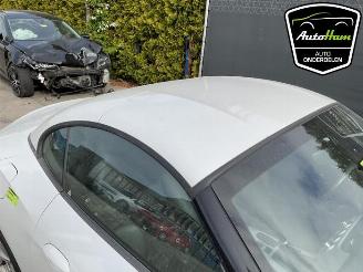 BMW Z4 Z4 Roadster (E89), Cabrio, 2009 / 2016 sDrive 18i 2.0 16V picture 22