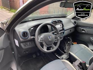 Dacia Spring Spring, Hatchback, 2020 45 picture 14